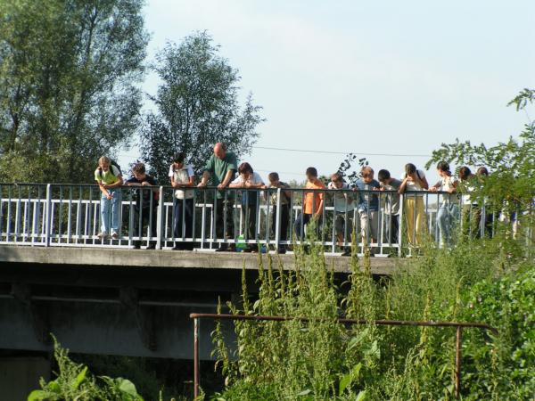 pict3961 (web)